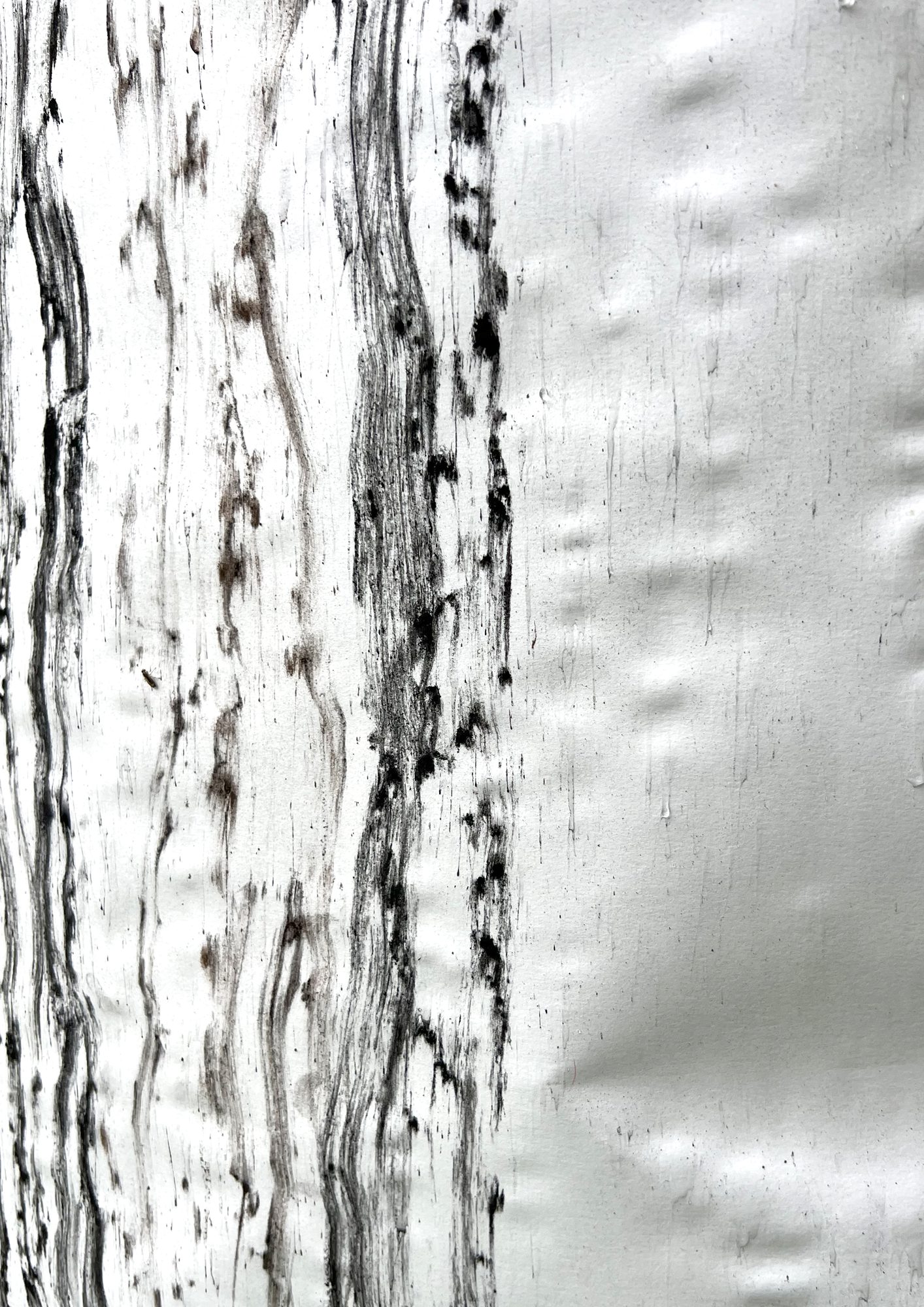 Tracing the Surface (Performance Documentation) — Charcoal on paper · 2025 by Nilu Ghorbani, Düsseldorf