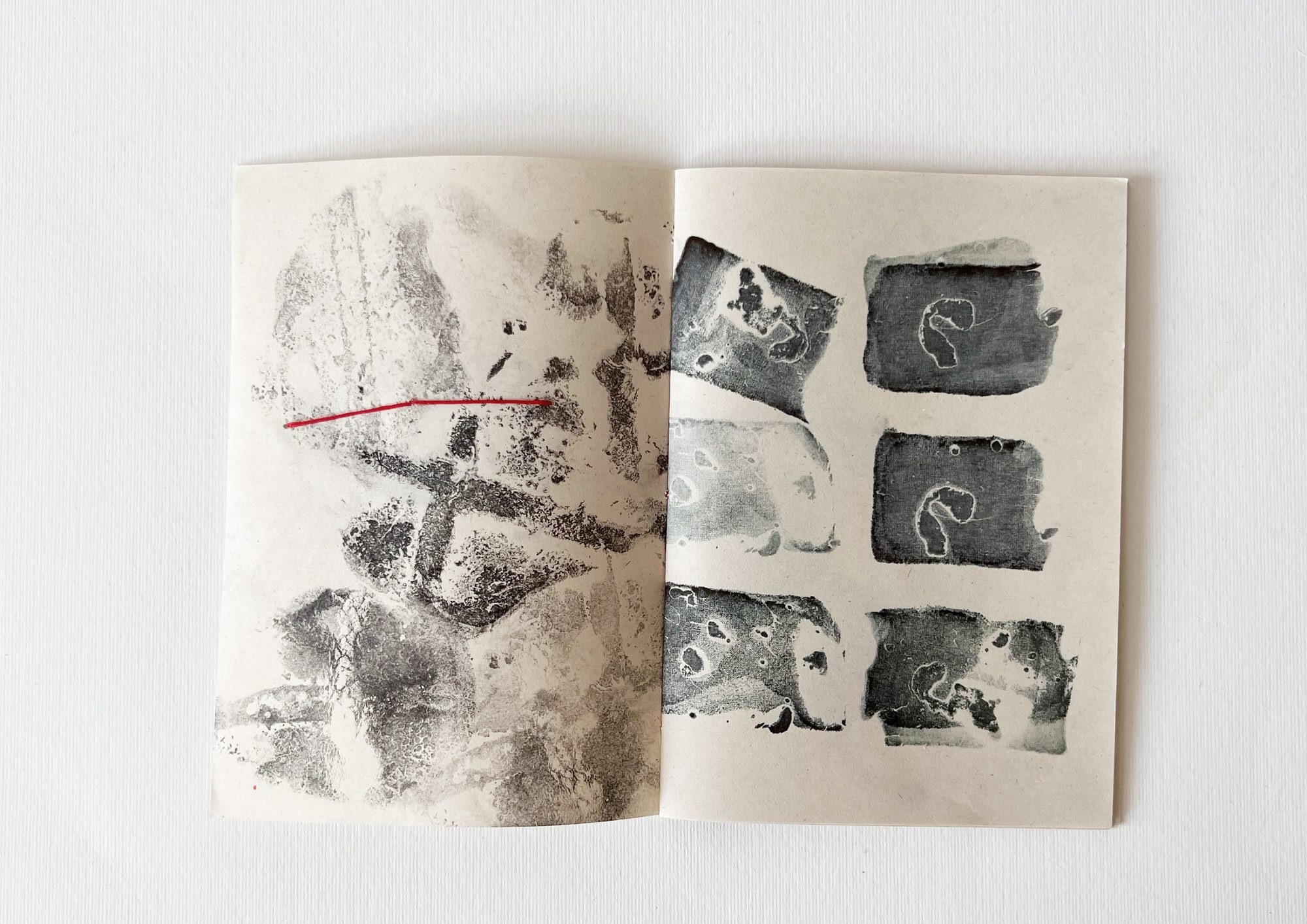 From page to book — Monoprint · 2026 by Nilu Ghorbani, Düsseldorf